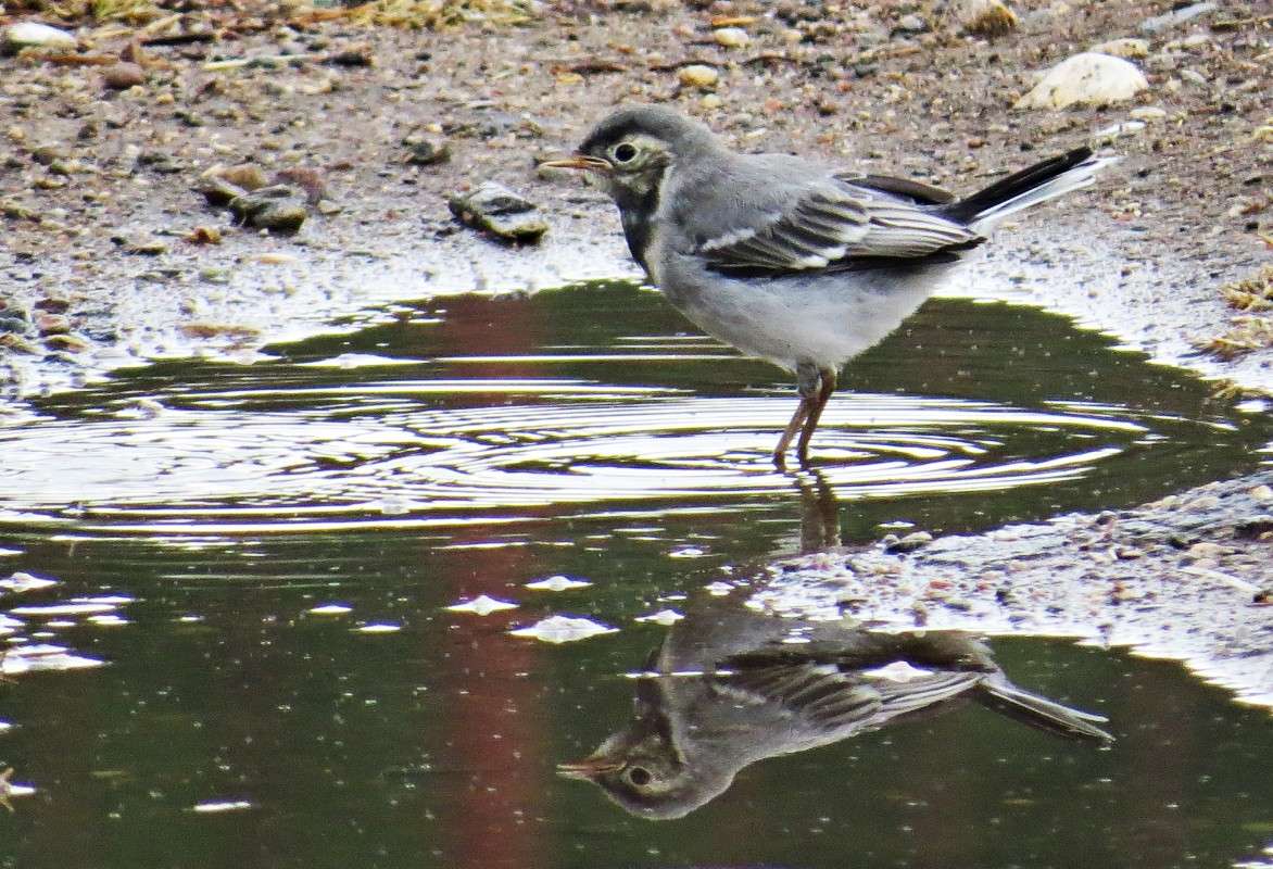 ��������� ���������. ����� �������� ������ �� PhotoGeek.ru #�������� ��� #����� ��� ��� ���������