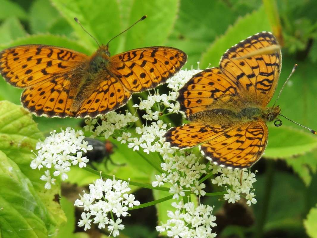 �������. ����� �������� ������ �� PhotoGeek.ru #����� #�������� ��� #���������