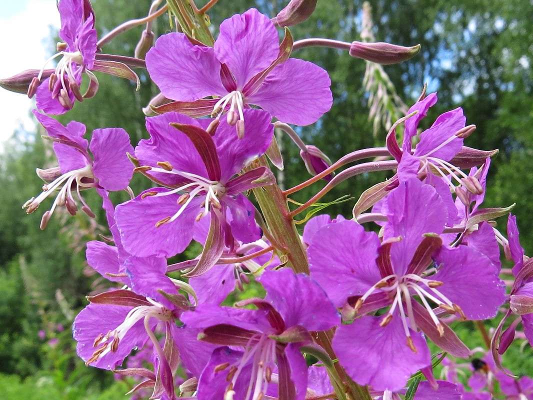 ����-��� ����� �������� ������ �� PhotoGeek.ru #����� #����� ��������������