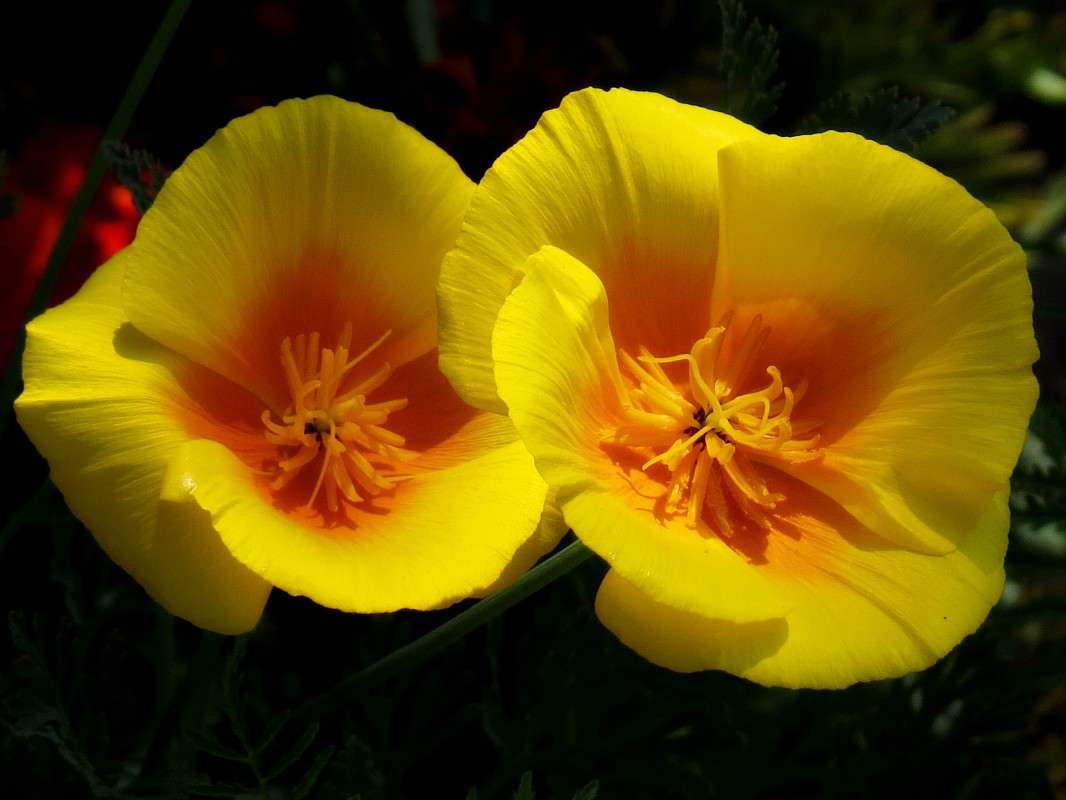 ��������� ����� �������� ������ �� PhotoGeek.ru #����� #����� ��������������