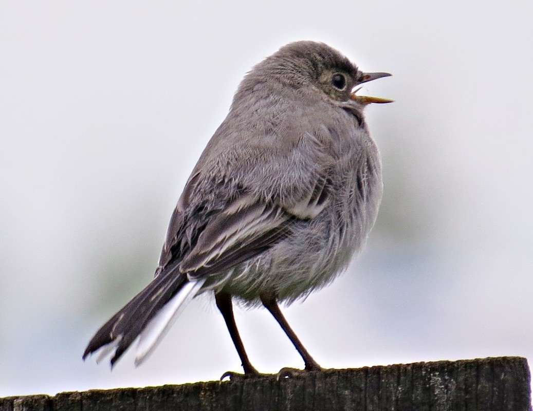 �������. ����� �������� ������ �� PhotoGeek.ru #�������� ��� #����� ��� ��� ���������