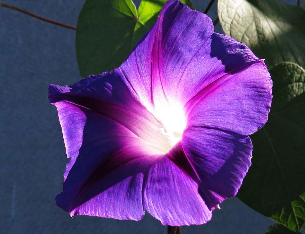 ������ ����� �������� ������ �� PhotoGeek.ru #����� #����� ��������������