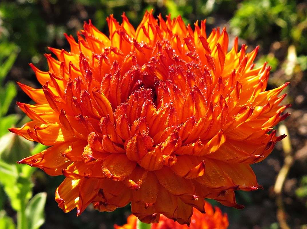 ������� ����� �������� ������ �� PhotoGeek.ru #����� #����� ��������������