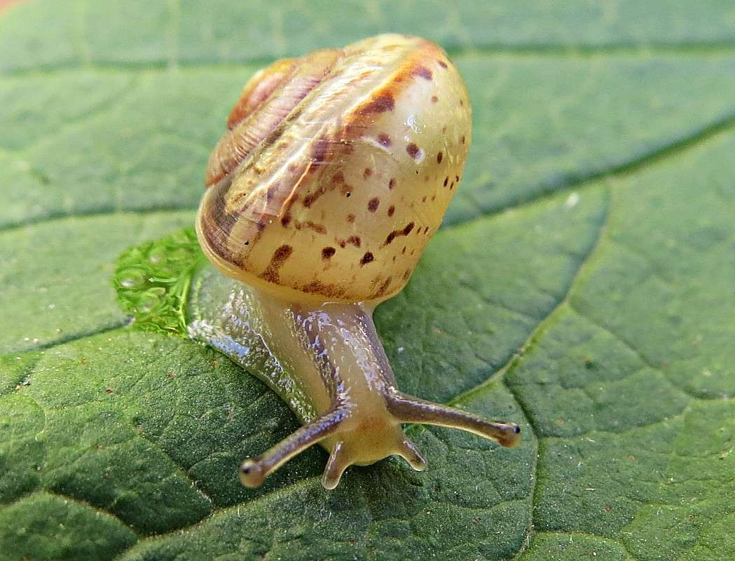 ������ ����� �������� ������ �� PhotoGeek.ru #����� #���������