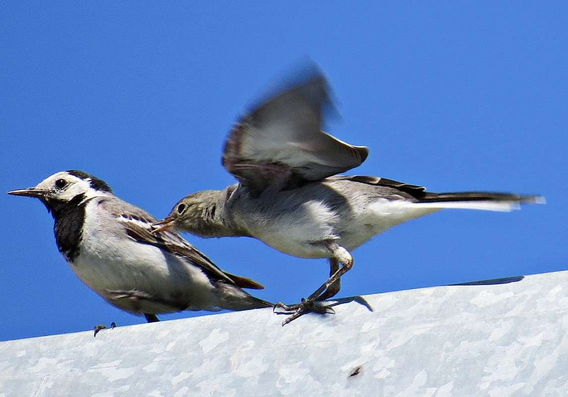 �������� �������� ����� �������� ������ �� PhotoGeek.ru #�������� ��� #����� ��� ��� ���������