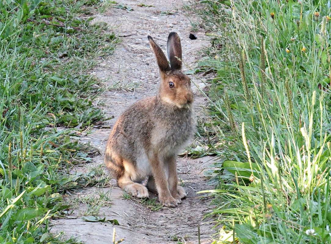 ������. ����� �������� ������ �� PhotoGeek.ru #�������� ��� #����� ��� ��� ���������