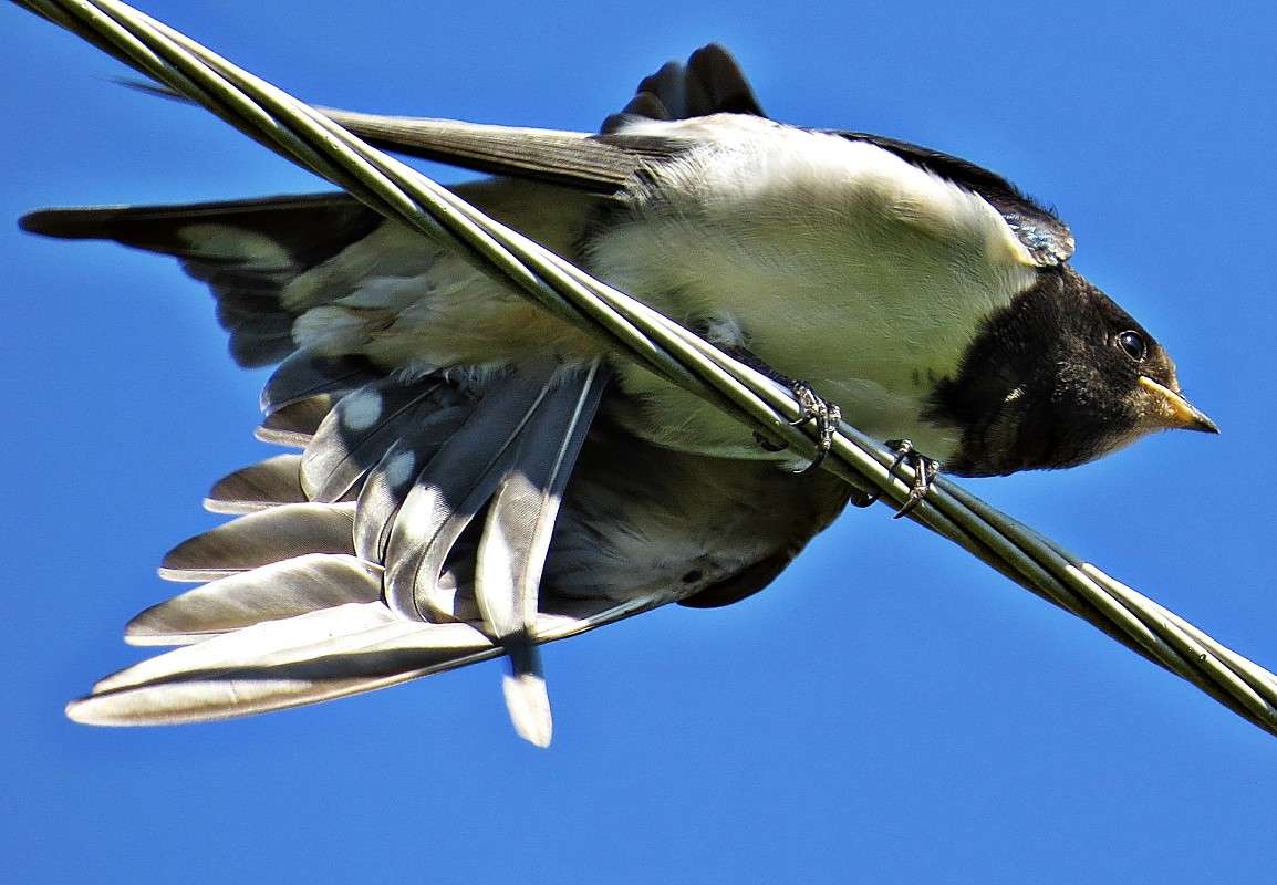 ��������-�������. ����� �������� ������ �� PhotoGeek.ru #�������� ��� #����� ��� ��� ���������