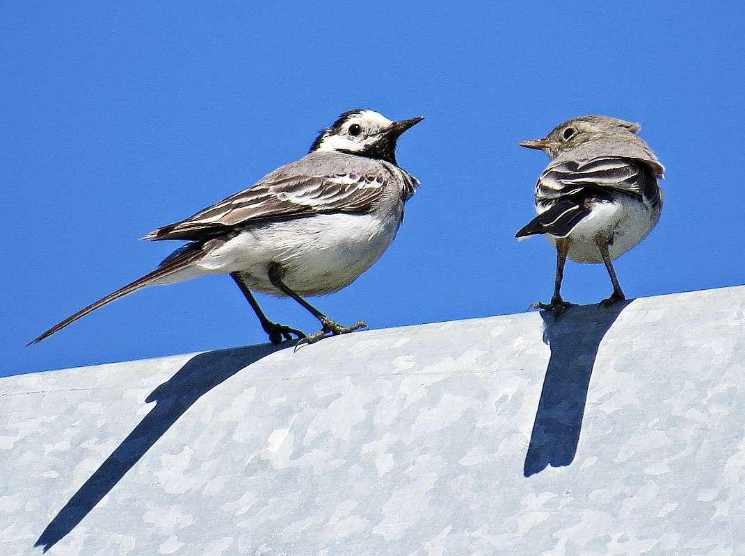 ����������. ����� �������� ������ �� PhotoGeek.ru #�������� ��� #����� ��� ��� ���������