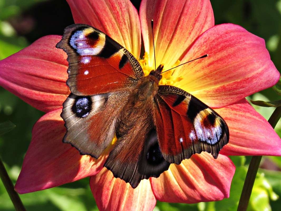 �������� ���� ����� �������� ������ �� PhotoGeek.ru #����� #�������� ��� #����� ��� ��� ��������� #���������