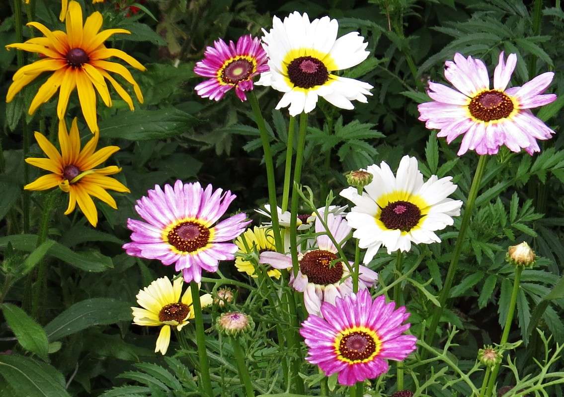 ��������� ������� ����� �������� ������ �� PhotoGeek.ru #������ ��� ������� #����� ��������������