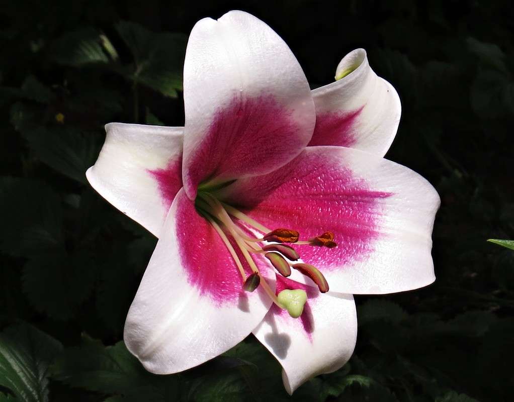 ����� ����� �������� ������ �� PhotoGeek.ru #������ ��� ������� #����� ��������������