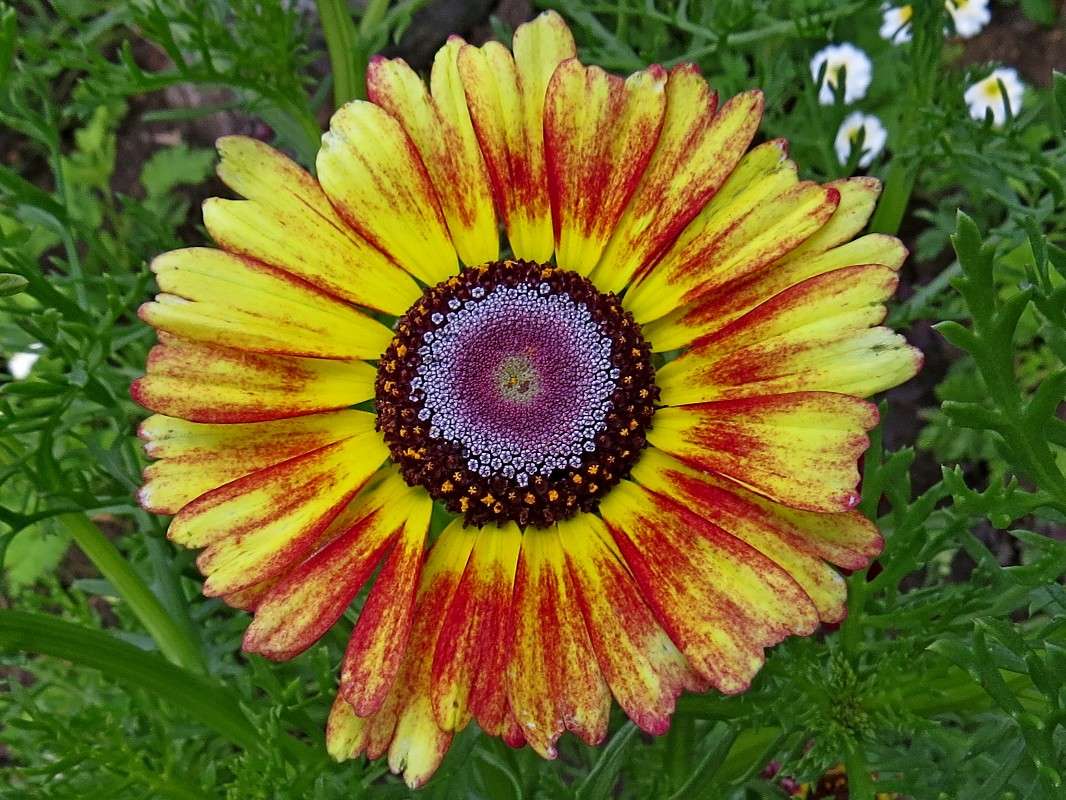 ���������� ����� �������� ������ �� PhotoGeek.ru #������ ��� ������� #����� ��������������