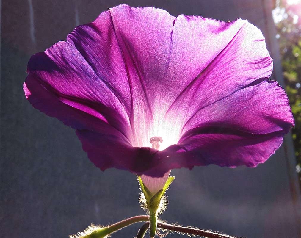 ������ ����� �������� ������ �� PhotoGeek.ru #����� #����� ��������������