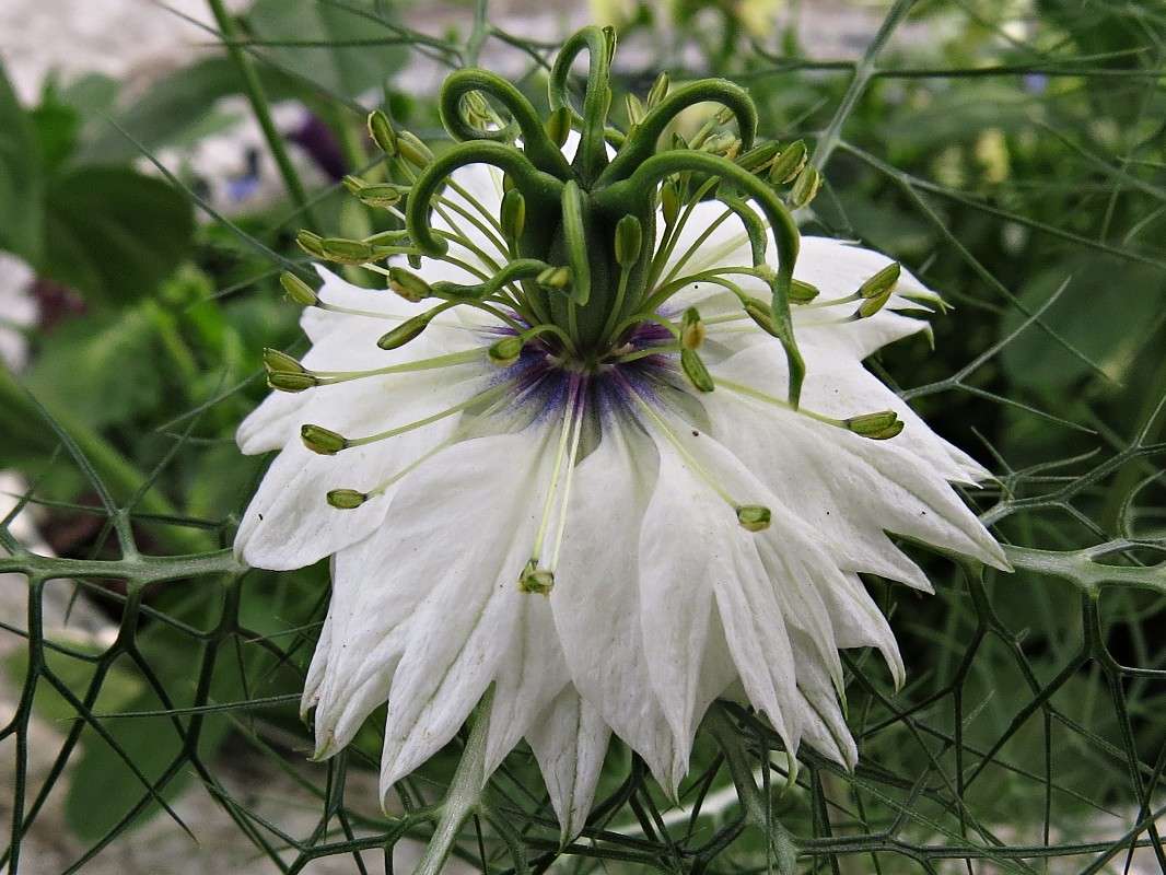 ������� ����� �������� ������ �� PhotoGeek.ru #����� #������ ��� ������� #����� ��������������