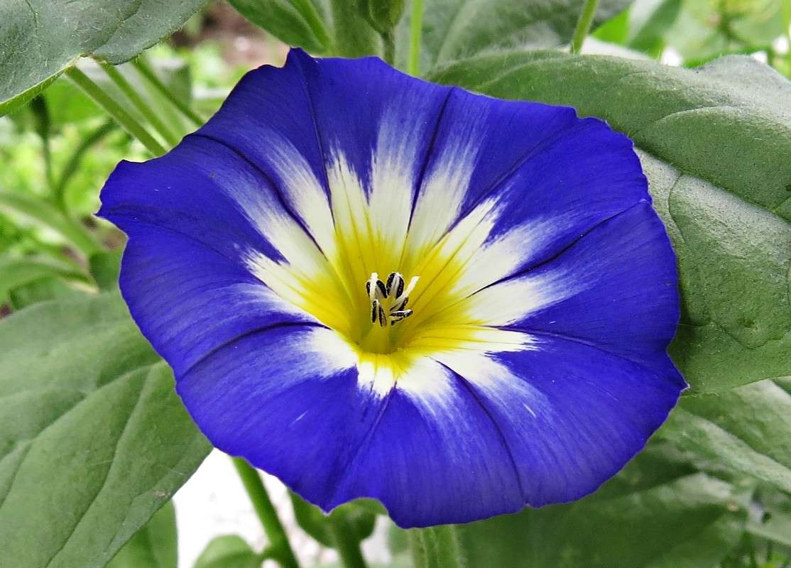 ������������ ����� �������� ������ �� PhotoGeek.ru #����� #������ ��� ������� #����� ��������������