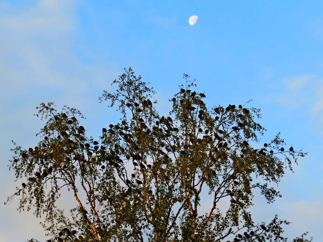 ����� ������� �������... ����� �������� ������ �� PhotoGeek.ru #�������� ��� #������ ��� ������� #����� ��� ��� ���������