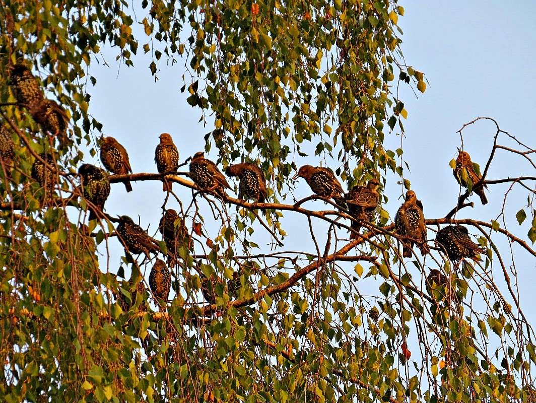 �� ������� ... ����� �������� ������ �� PhotoGeek.ru #������ ��� ������� #����� ��������������