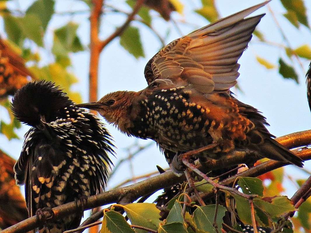 ������ ���������������! ������ ����! ����� �������� ������ �� PhotoGeek.ru #�������� ��� #������ ��� ������� #����� ��� ��� ���������