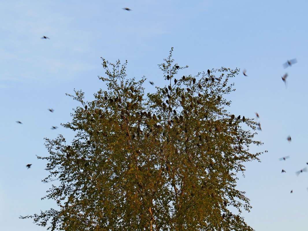 ����� ����. ����� �������� ������ �� PhotoGeek.ru #�������� ��� #������ ��� ������� #����� ��� ��� ���������