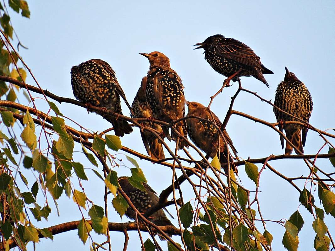 ������� � ����� ������! ����� �������� ������ �� PhotoGeek.ru #�������� ��� #������ ��� ������� #����� ��� ��� ���������