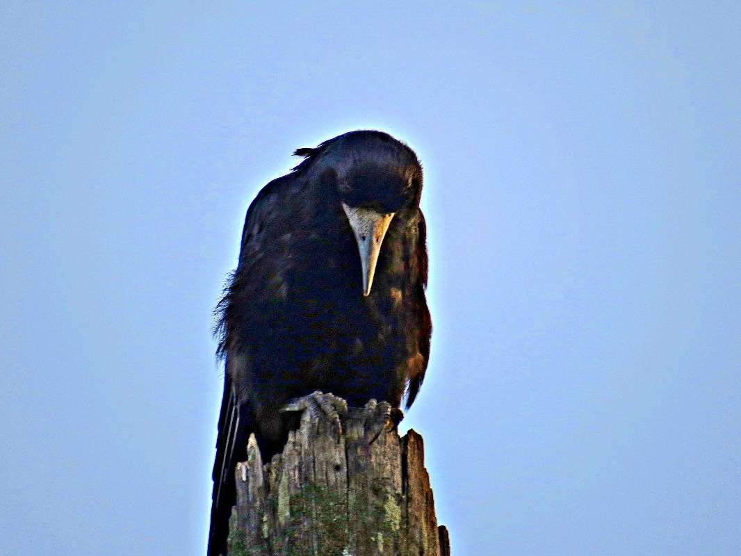 ׸���� �����. ����� �������� ������ �� PhotoGeek.ru #�������� ��� #������ ��� ������� #����� ��� ��� ���������