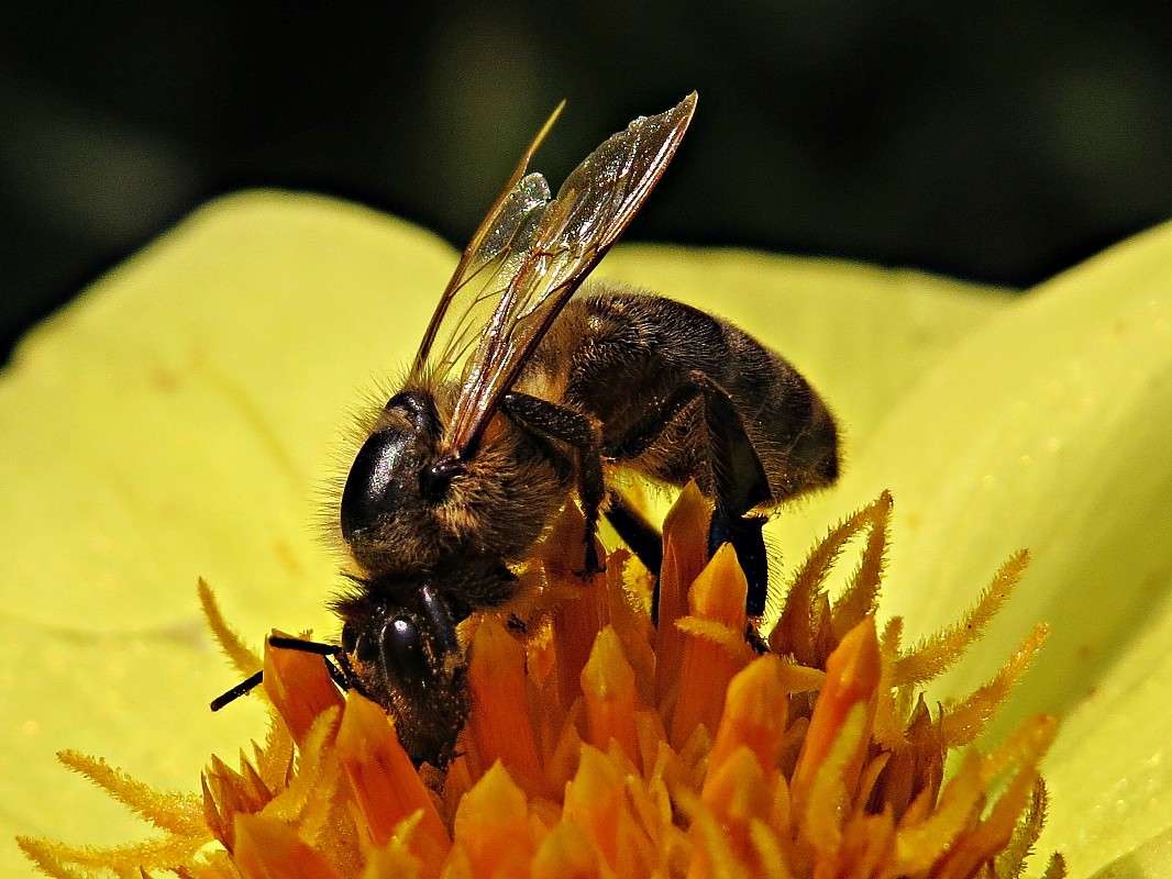 ������ ����� �������� ������ �� PhotoGeek.ru #����� #���������