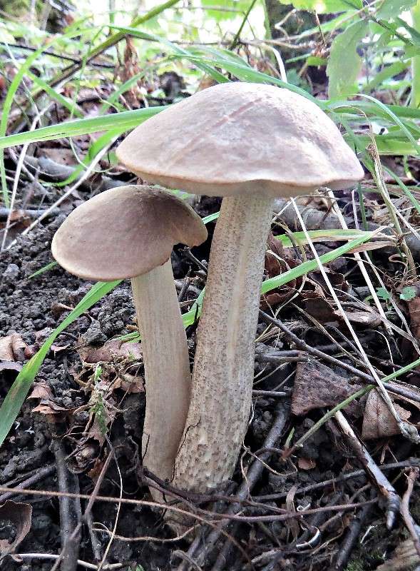 ������������ ����� �������� ������ �� PhotoGeek.ru #������ ��� ������� #����� ��������������