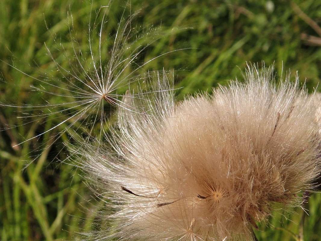 ����� ���������� ����� �������� ������ �� PhotoGeek.ru #����� #������ ��� ������� #����� ��������������