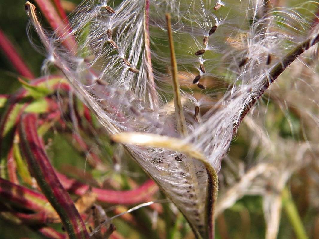 ����� ������ ����� �������� ������ �� PhotoGeek.ru #����� #������ ��� ������� #����� ��������������