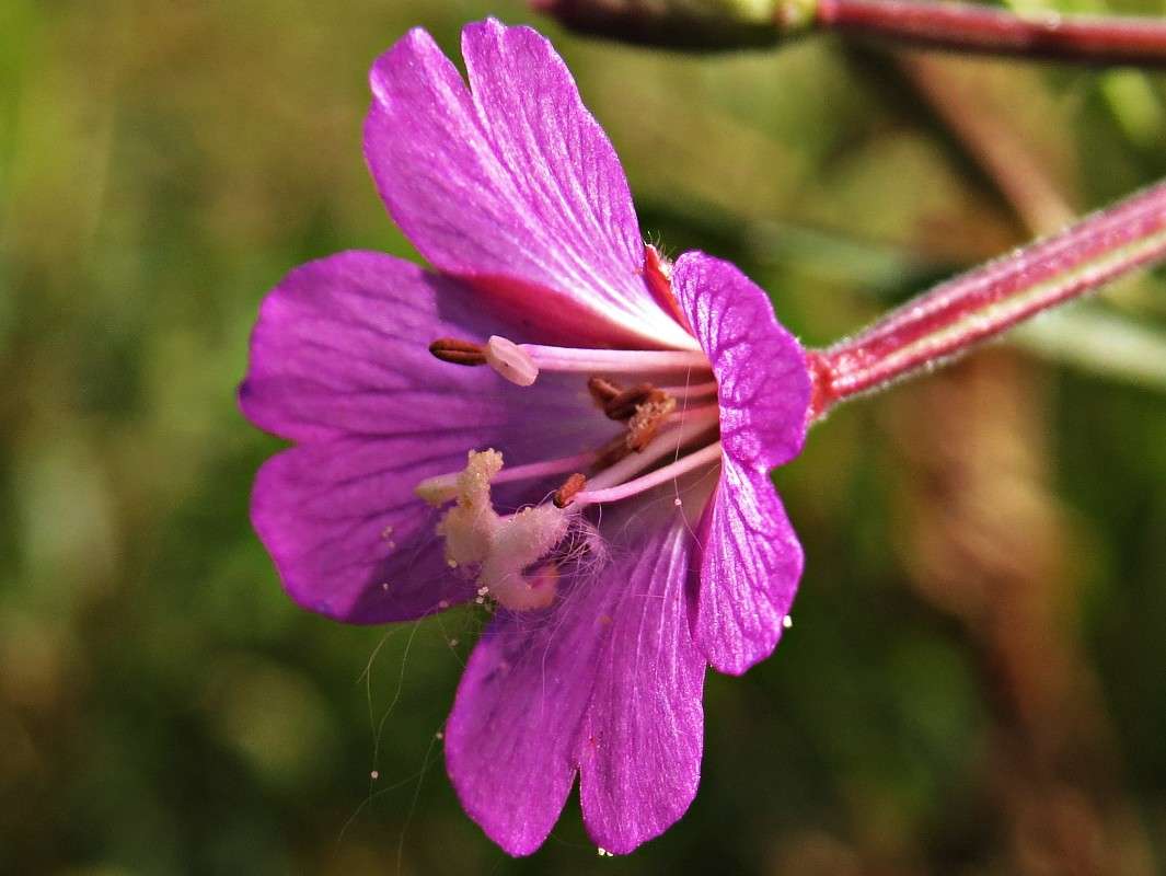 ������ ���������� ����� �������� ������ �� PhotoGeek.ru #����� #������ ��� ������� #����� ��������������