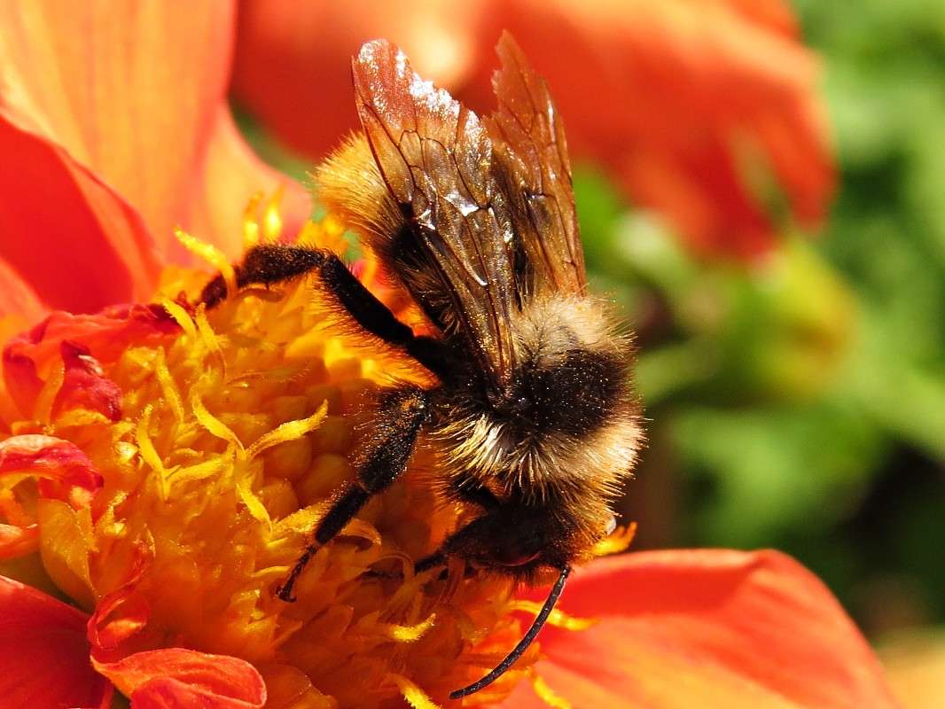 ��������� ����� ����� �������� ������ �� PhotoGeek.ru #����� #�������� ��� #���������