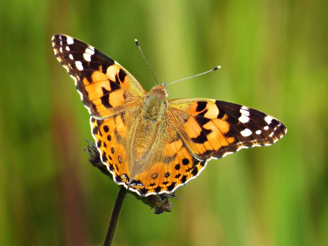 ��������� ����� �������� ������ �� PhotoGeek.ru #����� #�������� ��� #���������