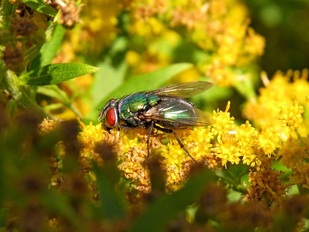 ���� ������ ����� �������� ������ �� PhotoGeek.ru #����� #���������