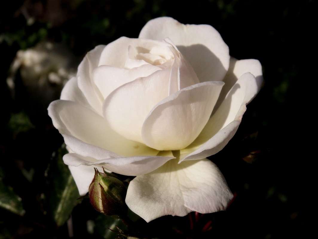 ������� ����� �������� ������ �� PhotoGeek.ru #������ ��� ������� #����� ��������������