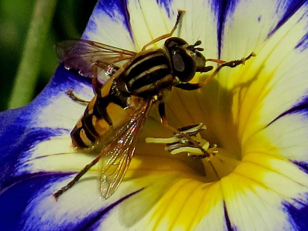 �������� ����� �������� ������ �� PhotoGeek.ru #����� #�������� ���