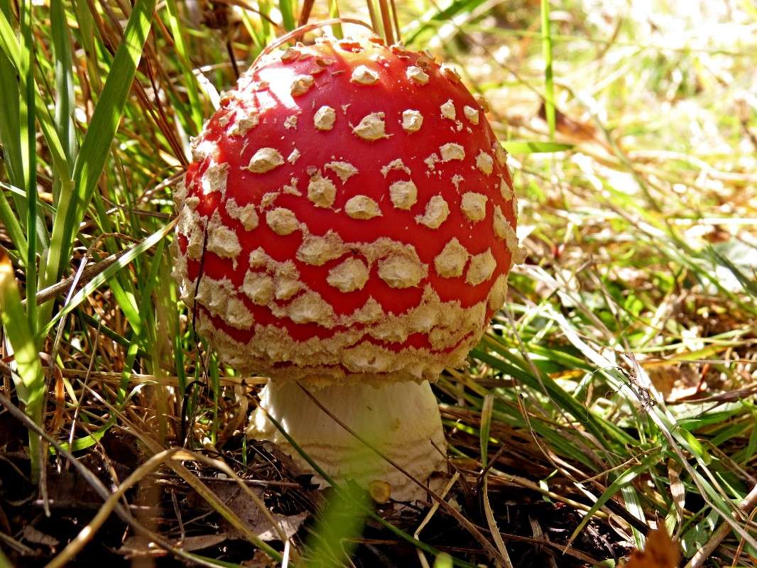 ���������� ����� �������� ������ �� PhotoGeek.ru #������ ��� ������� #����� ��������������