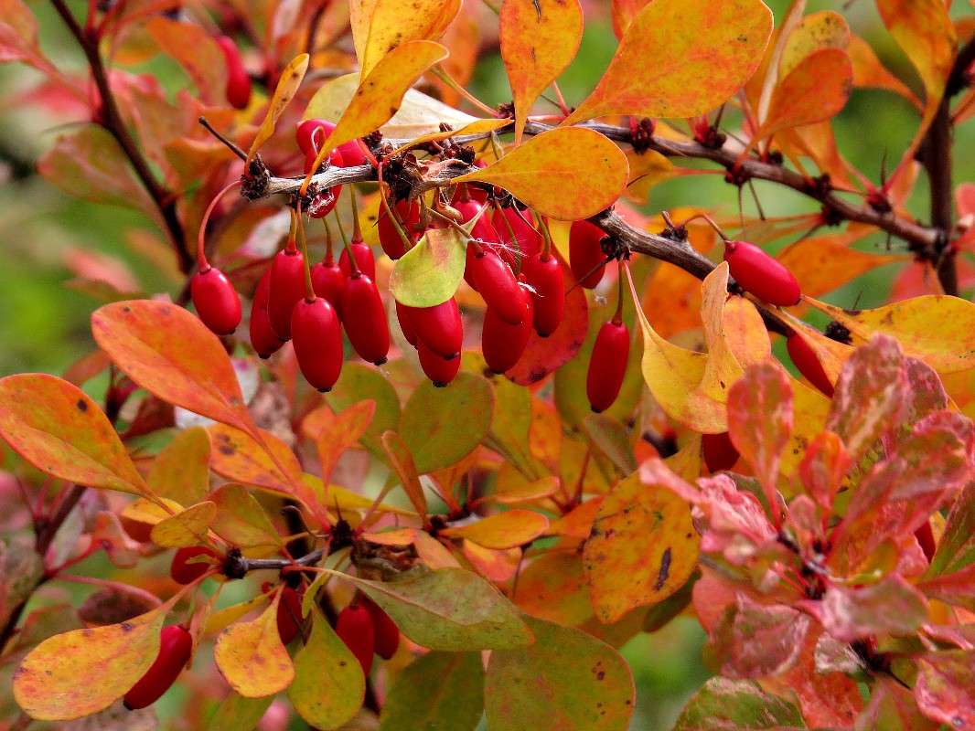 �������� ����� �������� ������ �� PhotoGeek.ru #������ ��� ������� #����� ��������������