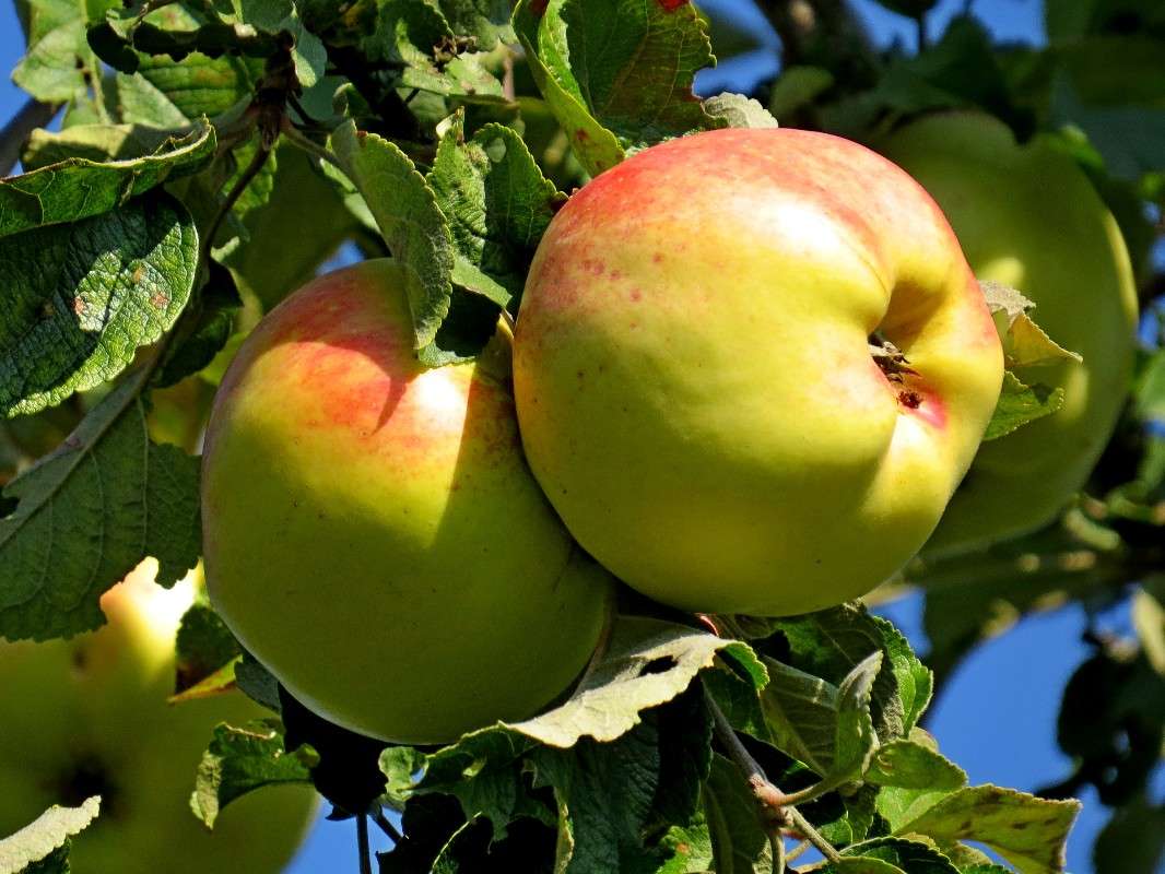 ������ ����� �������� ������ �� PhotoGeek.ru #������ ��� ������� #�������� ���������� #����� ��������������