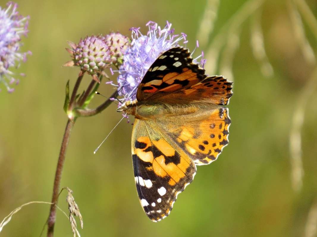 ��������� ����� �������� ������ �� PhotoGeek.ru #�������� ��� #������ ��� ������� #����� ��� ��� ���������