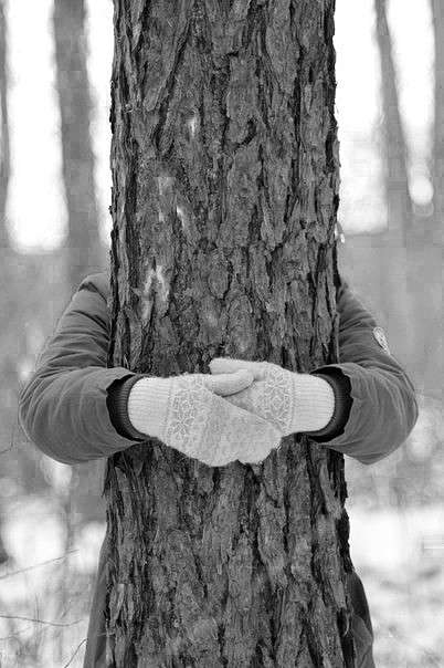 hugging trees  Liza   PhotoGeek.ru #  