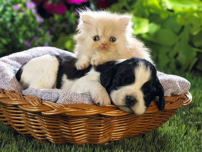  ����� ������ �������� �� PhotoGeek.ru
