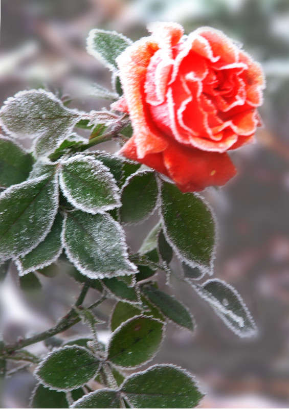 ... ����� ������ �������� �� PhotoGeek.ru #������ ��� �������