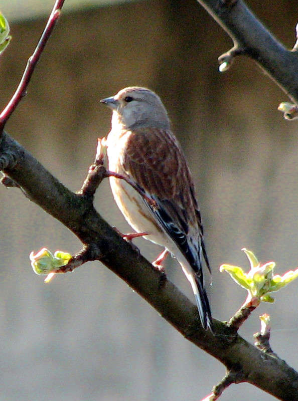 ... ����� ������ �������� �� PhotoGeek.ru #�������� ���