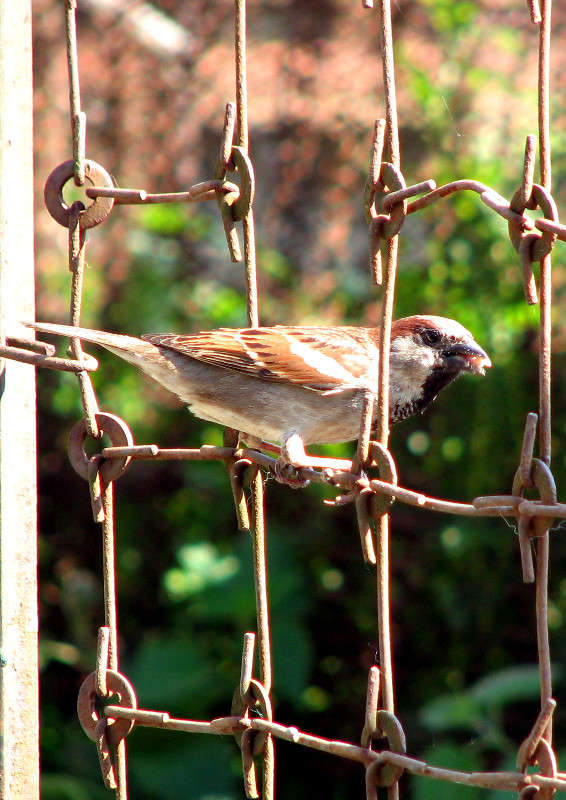 ... ����� ������ �������� �� PhotoGeek.ru #�������� ���