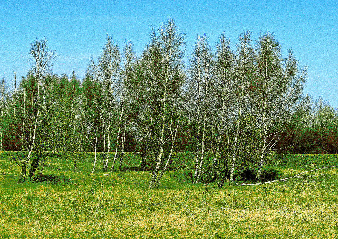 ... ����� ������ �������� �� PhotoGeek.ru #������ ��� �������