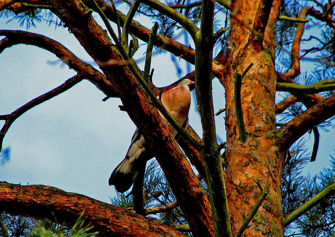 ... ����� ������ �������� �� PhotoGeek.ru #�������� ���