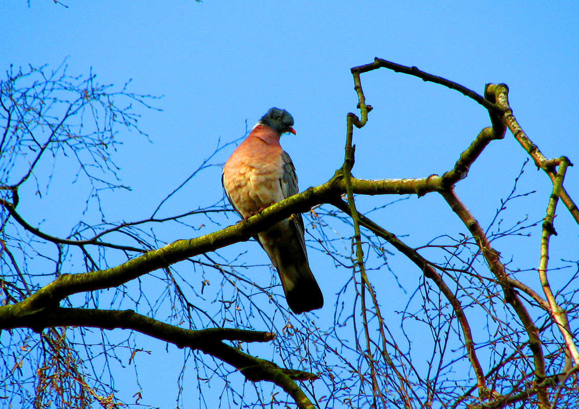 ... ����� ������ �������� �� PhotoGeek.ru #�������� ���