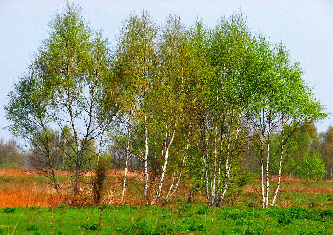 ... ����� ������ �������� �� PhotoGeek.ru #������ ��� �������
