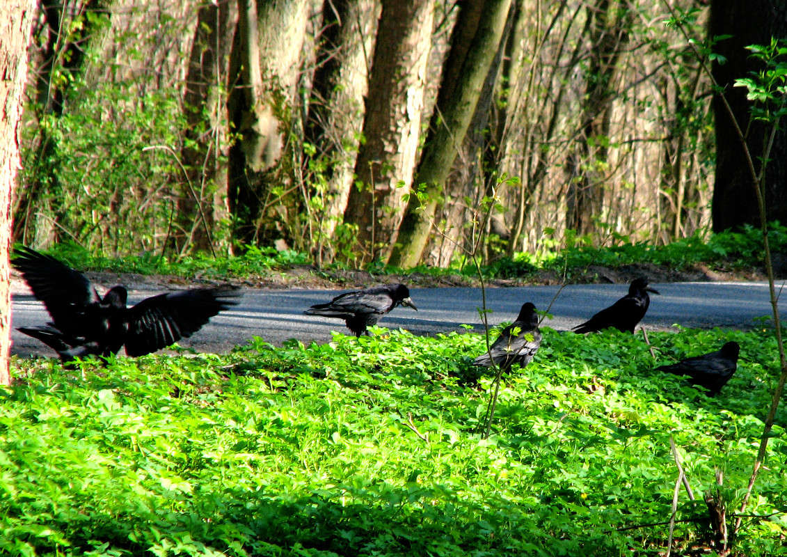 ������� ����� ������ �������� �� PhotoGeek.ru #�������� ���