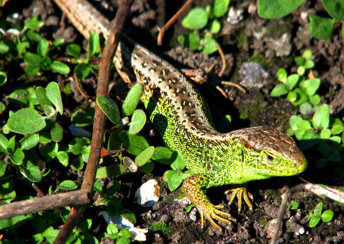 ... ����� ������ �������� �� PhotoGeek.ru #�������� ���